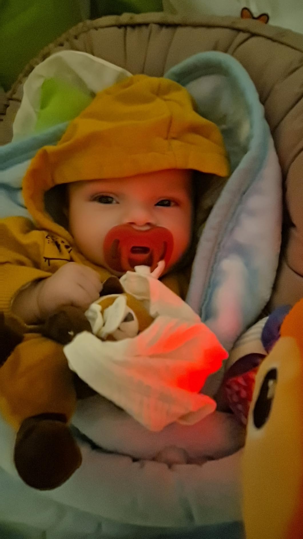 Bébé adore