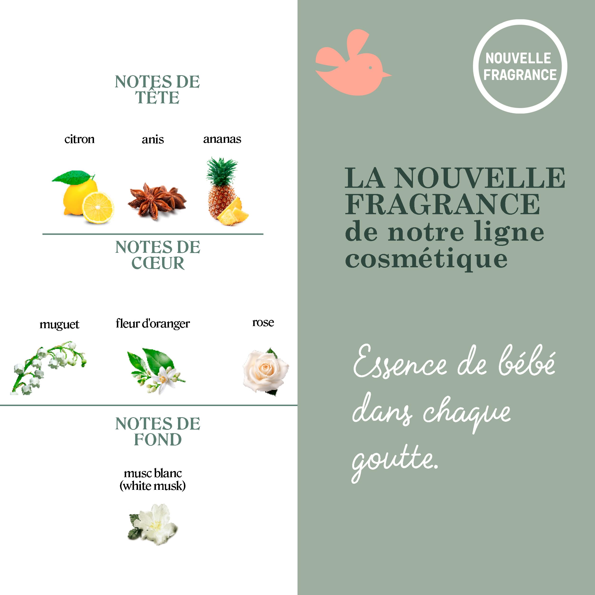 suavinex-baby-cologne-bliss-eau-de-cologne-b-b-faible-en-alcool-sans-tacher-vapo image 5